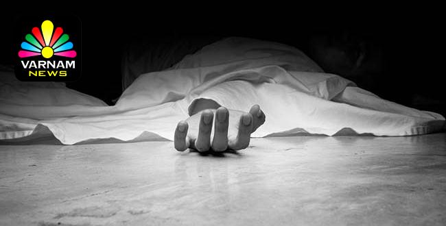 image_search_1749883368416