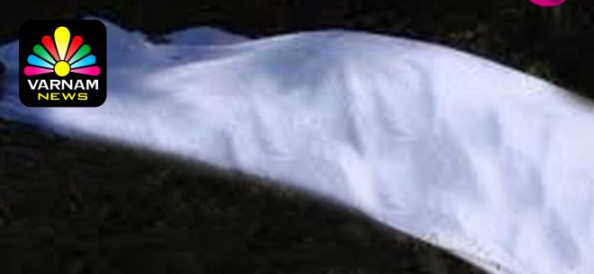 image_search_1750257685526