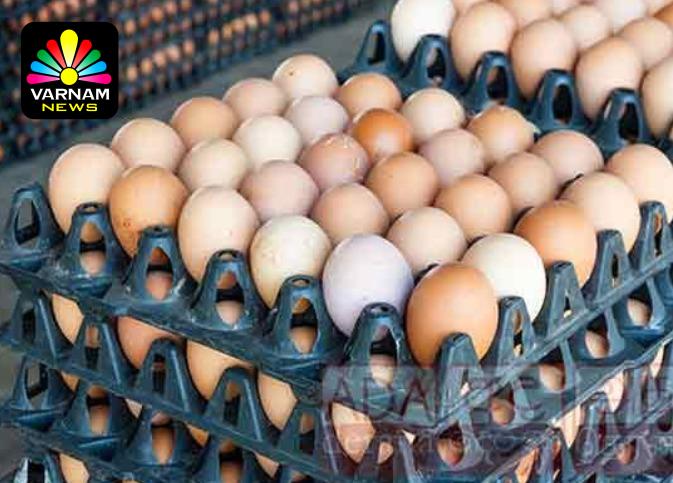 முட்டையின் மொத்த விலை குறைப்பு