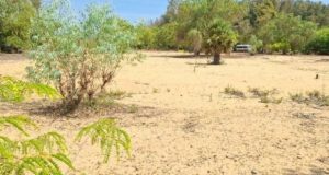 குருக்கள்மடம் மனித புதைகுழி அகழ்வுப்பணிகள் அடுத்த வாரம் ஆரம்பம்