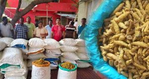 இலங்கைக்கு கடத்தவிருந்த பல இலட்சம் பெறுமதியான மஞ்சள் பறிமுதல்