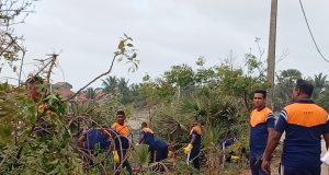 மன்னார் நகர சபையினால் தொடர்ச்சியாக முன்னெடுக்கப்பட்டு வரும் சிரமதானப் பணிகள்