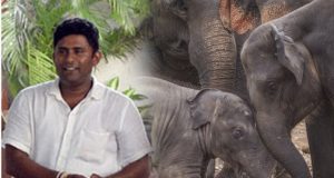 அலி ரொஷானுக்கு 15 வருட கடூழிய சிறைத்தண்டனை