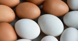 முட்டை விலையை 10 ரூபாவால் குறைக்க தீர்மானம்