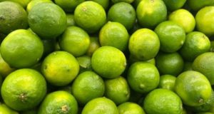 நாளுக்கு நாள் அதிகரிப்பை பதிவு செய்யும் தேசிக்காய் விலை