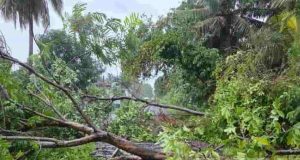 ரயில் சேவைகள் பாதிப்பு