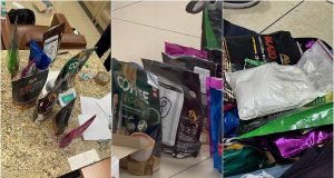 கொழும்பிலிருந்து இந்தியாவுக்கு கடத்தப்பட்ட பாரியளவான போதைப்பொருள்