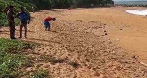 தெங்கு விவசாயிகளுக்கு மானியம் வழங்க அரசாங்கம் தீர்மானம்