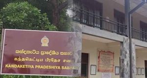 கந்தகெட்டிய வரவு செலவுத் திட்டம் இரண்டாவது முறையாகவும் தோல்வி