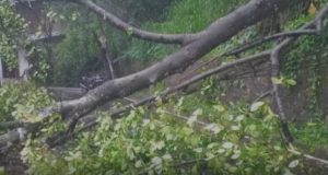 சீரற்ற வானிலை – பல பகுதிகளில் மின்சார தடை