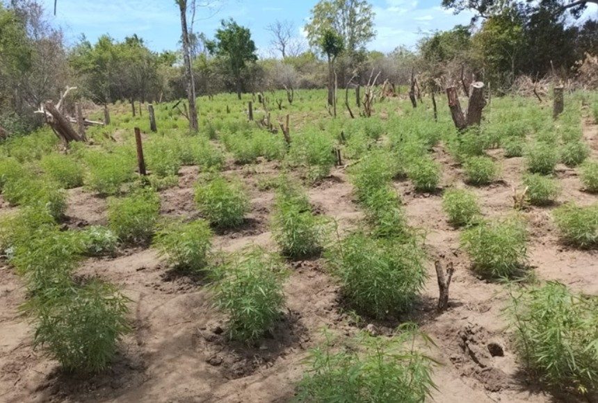 IMG-20251126-WA0051(1)