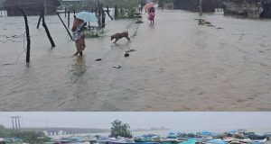 மன்னார் மாவட்டத்திலும் பலத்த காற்றுடன் கூடிய மழை