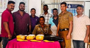 நல்லூர் பிரதேச சபை உறுப்பினர் கஞ்சாவுடன் கைது