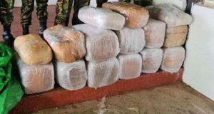 முல்லைத்தீவில் 3 கோடி ரூபாய் பெறுமதியான கஞ்சா பறிமுதல்