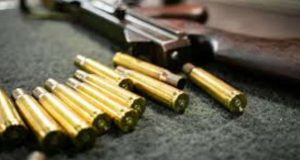 துப்பாக்கி உரிமங்களைப் புதுப்பிப்பதற்கான காலவகாசம் நீடிப்பு