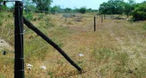 மின்சார வேலிகளை ஒரு வாரத்திற்குள் சீரமைக்க உத்தரவு