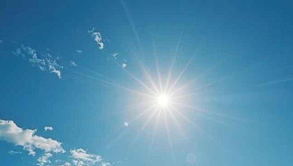 MediaFile - 2026-01-18T082040.288