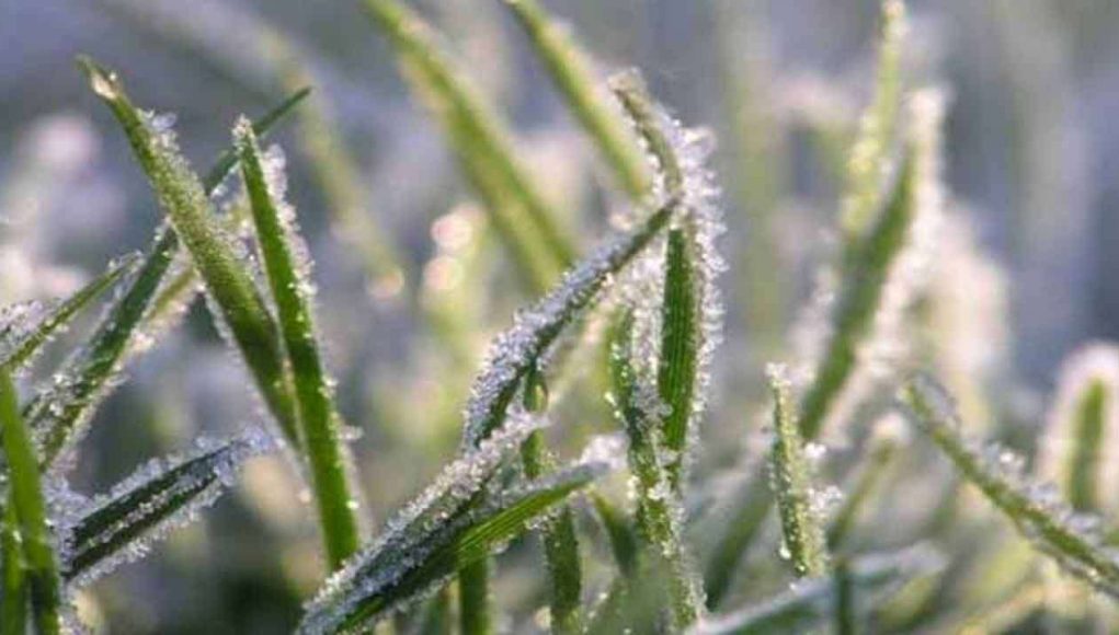 MediaFile - 2026-01-22T121059.649