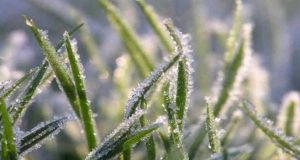 நுவரெலியாவில் கடும் குளிர்