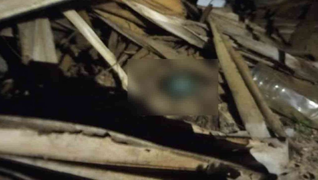 MediaFile - 2026-01-22T133119.251