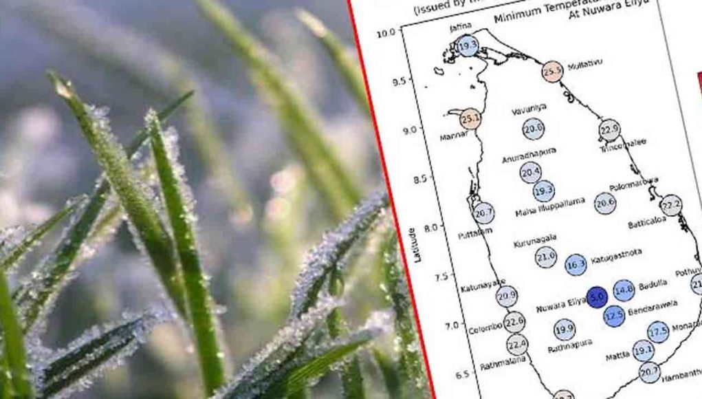 MediaFile - 2026-01-23T121849.904