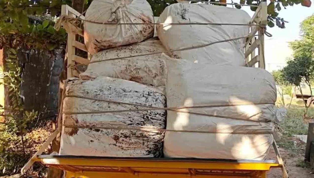 MediaFile - 2026-01-23T202341.410