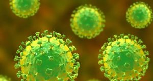 நிபா வைரஸ் பரவல் – இலங்கையில் விசேட கண்காணிப்பு