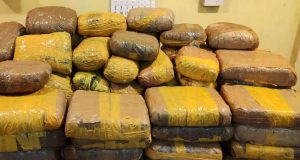 அதிகளவான கஞ்சாவுடன் ஒருவர் கைது