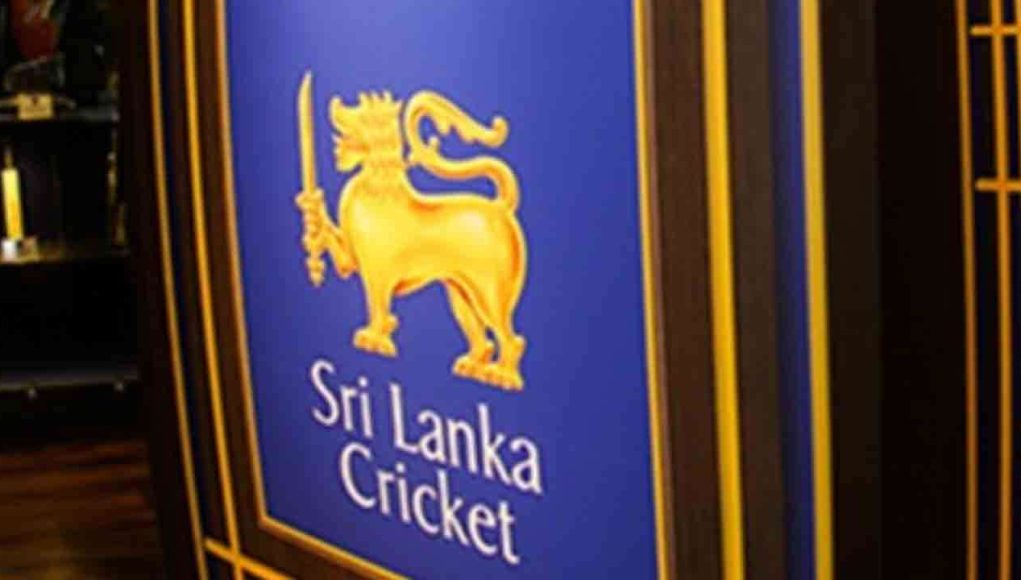 MediaFile - 2026-02-13T112221.028