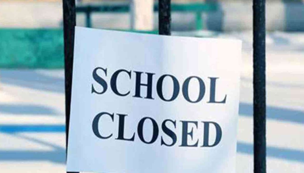 MediaFile - 2026-02-13T142021.194