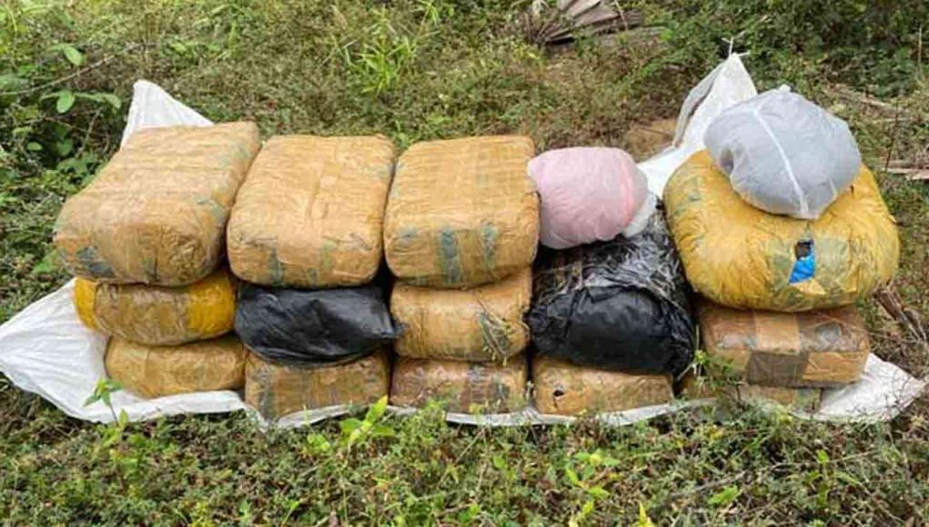 MediaFile - 2026-02-13T142510.322