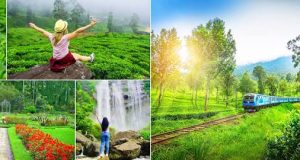 நுவரெலியாவிற்கு சர்வதேச அங்கீகாரம்