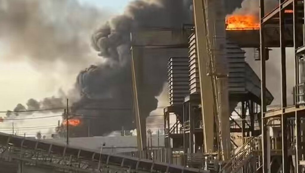 MediaFile - 2026-03-24T085530.728