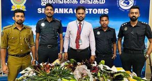 அலங்கார தாவரங்களை கடத்திய நபர் கைது