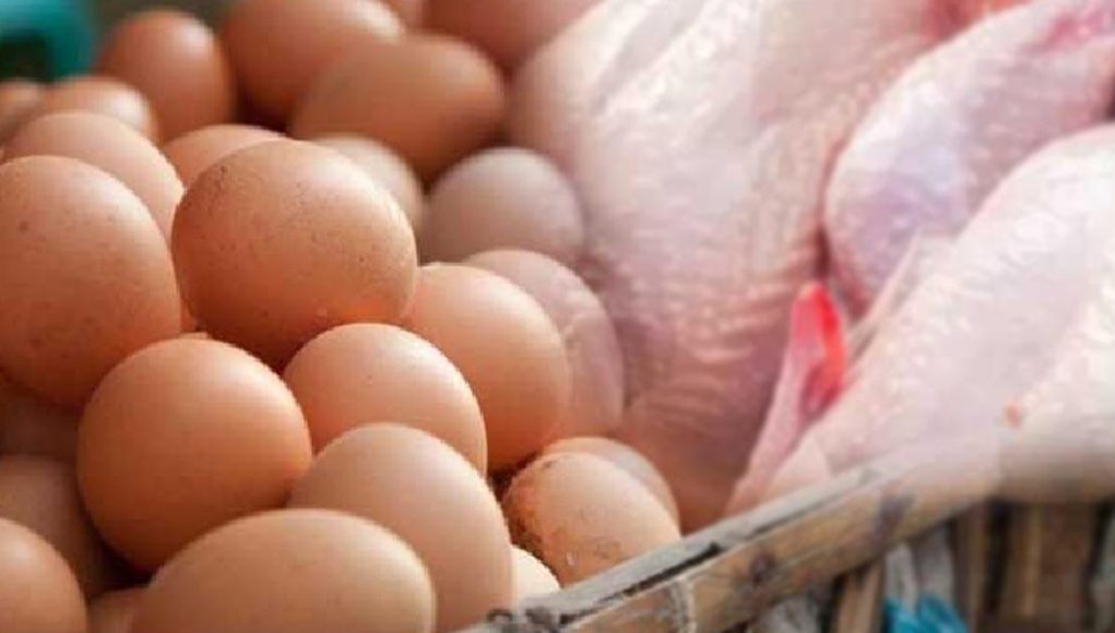 MediaFile - 2026-03-28T134256.585