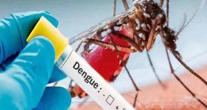 தீவிரமடையும் டெங்கு