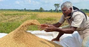 விவசாயிகளுக்கு QR குறியீடு இன்றி எரிபொருள் விநியோகம்