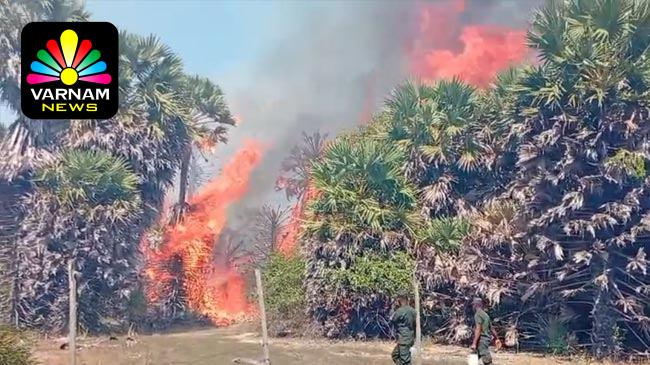 MediaFile - 2026-04-01T114232.501