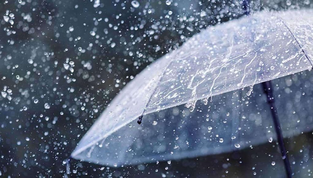 MediaFile - 2026-04-03T072441.984