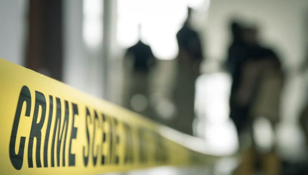 MediaFile - 2026-04-03T095529.906