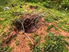 வவுனியாவில் புதைக்கப்பட்ட சடலத்தின் தலை மர்ம நபர்களால் அகற்றம்