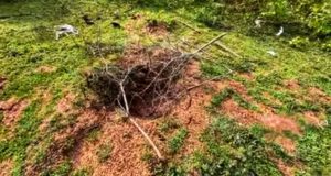 வவுனியாவில் புதைக்கப்பட்ட சடலத்தின் தலை மர்ம நபர்களால் அகற்றம்