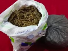 வவுனியாவில் கஞ்சாவுடன் இரு பொலிஸார் கைது