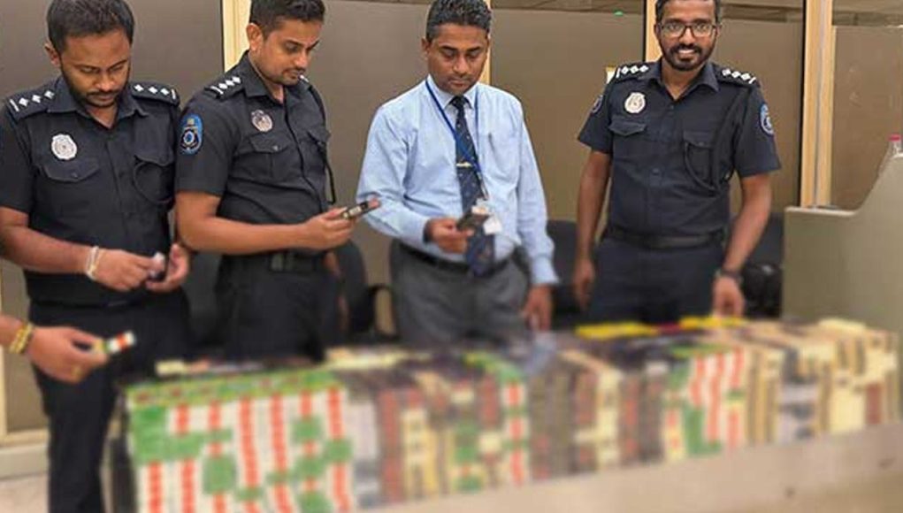 MediaFile - 2026-04-11T150521.604