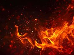 வெல்லம்பிட்டியவில் பேக்கரி ஒன்றில் தீப்பவரல்