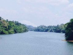 ஆறுகளின் நீர்மட்டம் குறைந்து வருகிறது