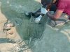 இன்றுடன் 270 மனித என்புத் தொகுதிகள் அடையாளம் காணப்பட்டுள்ளன