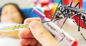 47,500ஐத் தாண்டிய டெங்கு நோயாளர்கள் – 29 பேர் உயிரிழப்பு