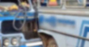 மாத்தறை – தலல்ல வீதியில் விபத்து – 40 பேர் காயம்