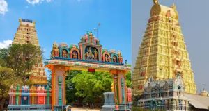 நகுலேஸ்வரத்தில் வௌ்ளி திருட்டு – இருவர் கைது